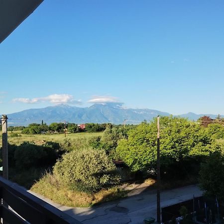 Villa Olympia Paralía Eksteriør bilde