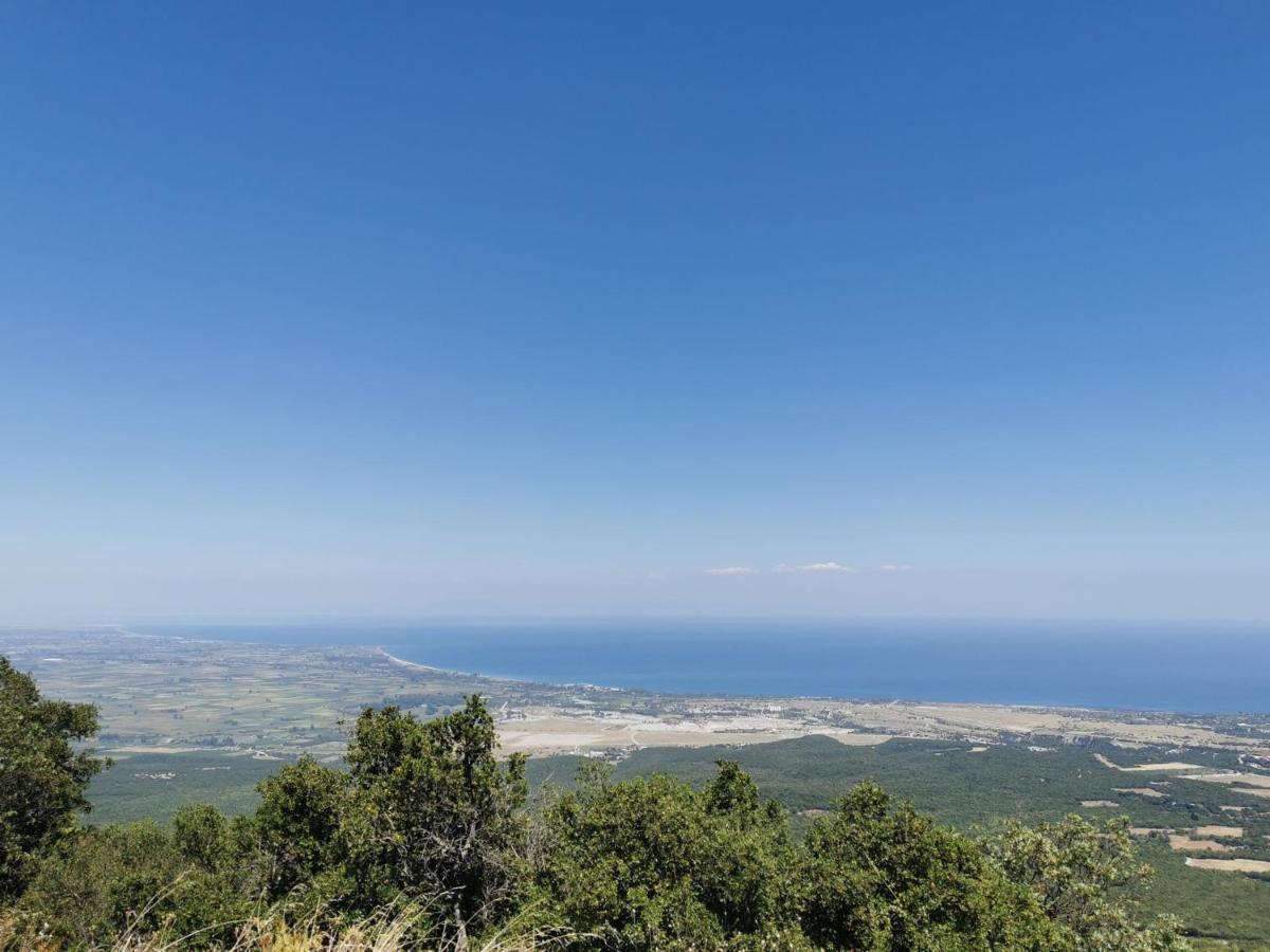 Villa Olympia Paralía Eksteriør bilde