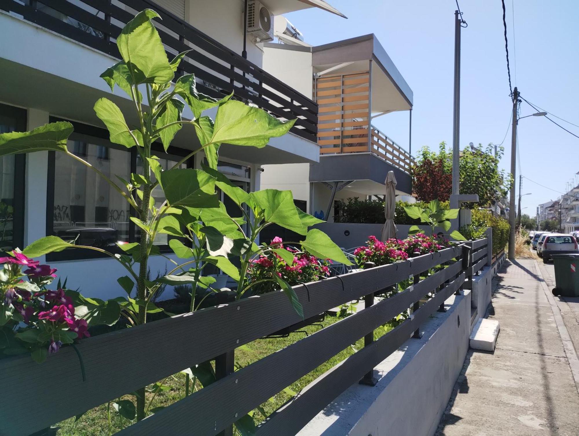 Villa Olympia Paralía Eksteriør bilde